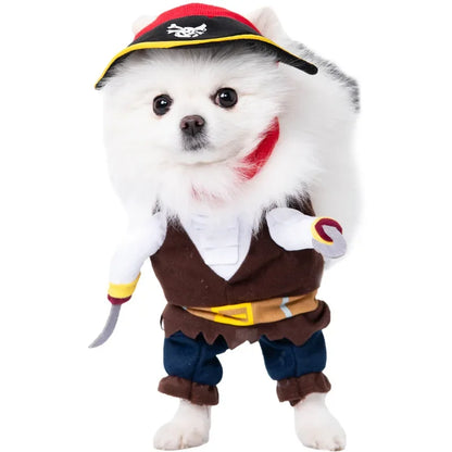 Halloween Pet Costume: Adorable Pumpkin Lantern Transformation Outfit for Dogs and Cats with Two-Legged Design and Cute Pumpkin Hat