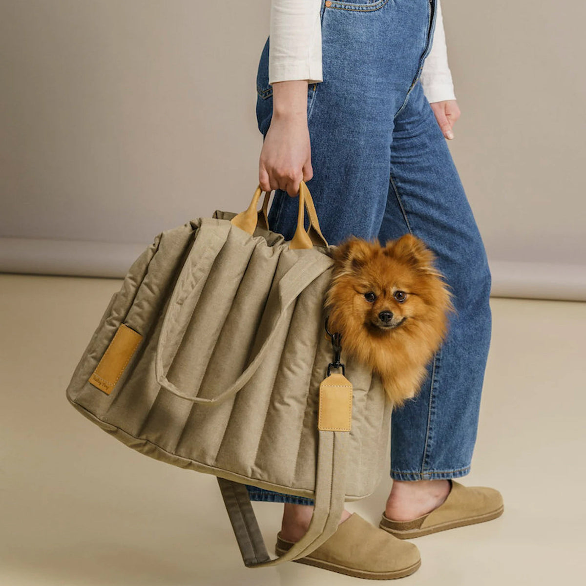 Lightweight Waterproof Pet Carrier Handbag for Dogs and Cats - Elegant and Functional Travel Accessory