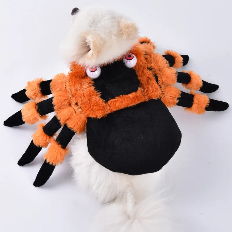 Halloween Pet Costume: Adorable Pumpkin Lantern Transformation Outfit for Dogs and Cats with Two-Legged Design and Cute Pumpkin Hat