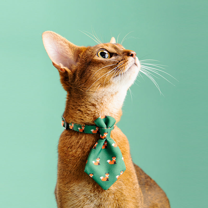 Adjustable Dog Collar with Gentleman Tie Accessories