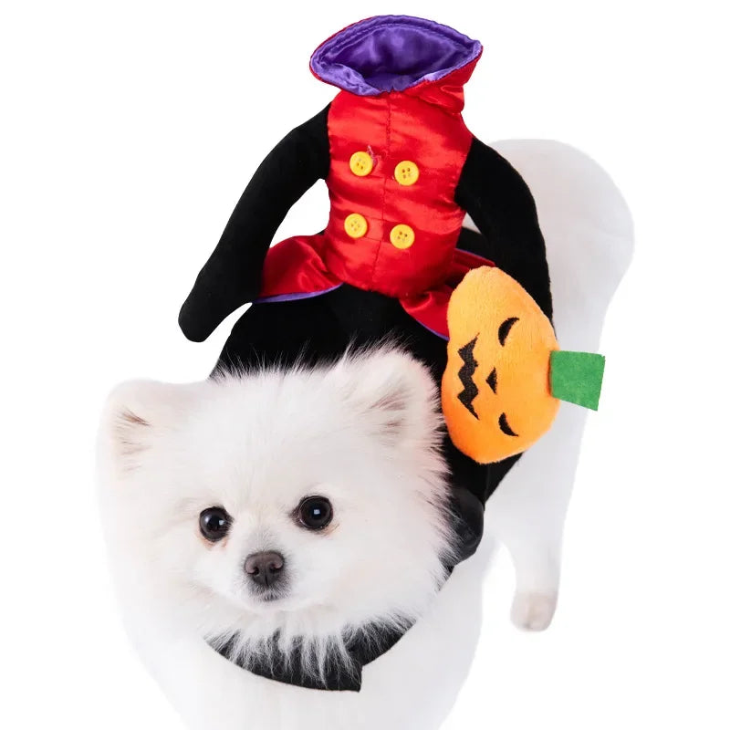 Halloween Pet Costume: Adorable Pumpkin Lantern Transformation Outfit for Dogs and Cats with Two-Legged Design and Cute Pumpkin Hat