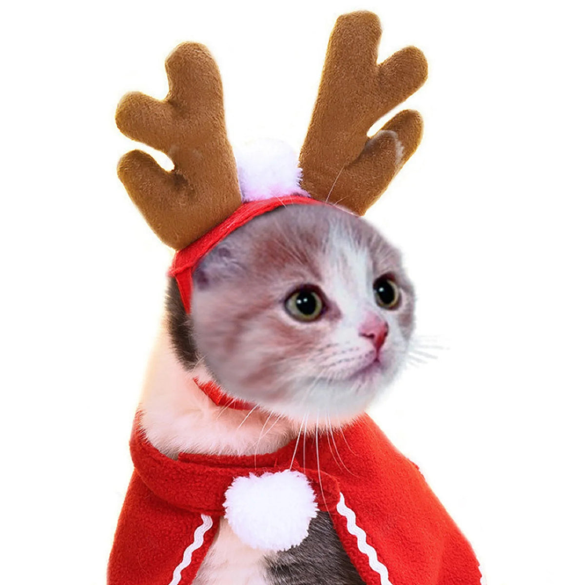Festive Christmas and Halloween Pet Costume with Scarf for Cats and Dogs - Ideal for New Year and Winter Cosplay