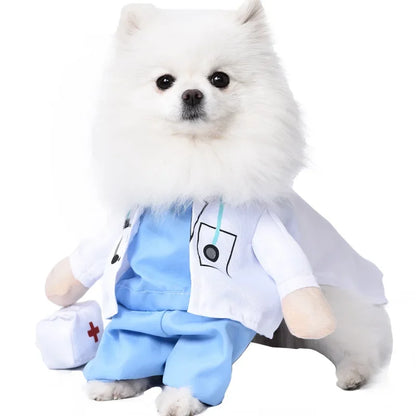 Halloween Pet Costume: Adorable Pumpkin Lantern Transformation Outfit for Dogs and Cats with Two-Legged Design and Cute Pumpkin Hat