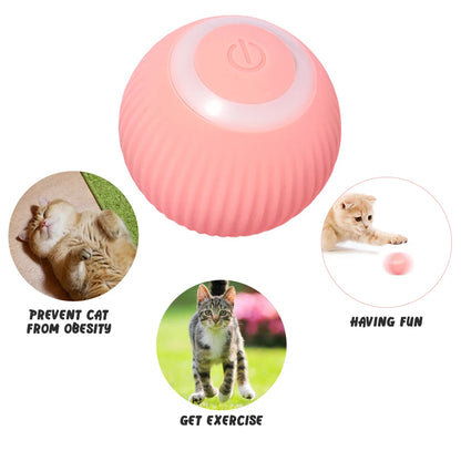Automatic Interactive Rolling Ball Cat Toy - Self-Moving Electric Toy for Indoor Training and Play