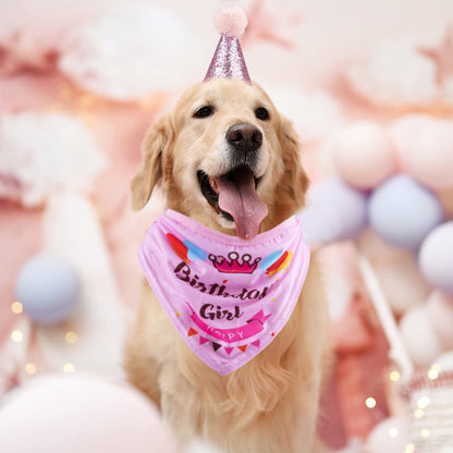 Dog Birthday Celebration Supplies Set: Bandana, Hat, Banner, and Bow Tie Scarf Decorations (Pink, for Dog Girls)