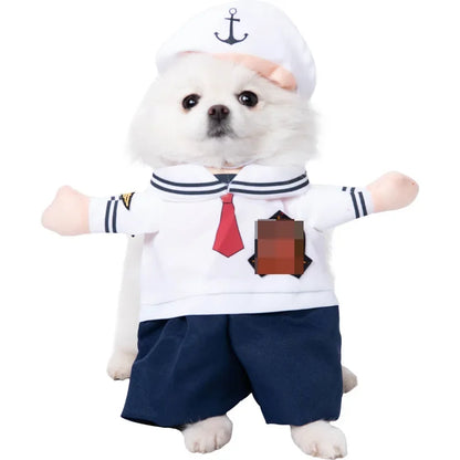 Halloween Pet Costume: Adorable Pumpkin Lantern Transformation Outfit for Dogs and Cats with Two-Legged Design and Cute Pumpkin Hat