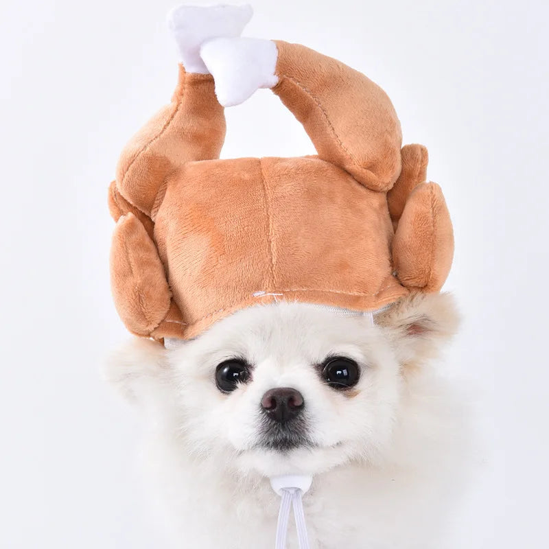 Halloween Pet Costume: Adorable Pumpkin Lantern Transformation Outfit for Dogs and Cats with Two-Legged Design and Cute Pumpkin Hat