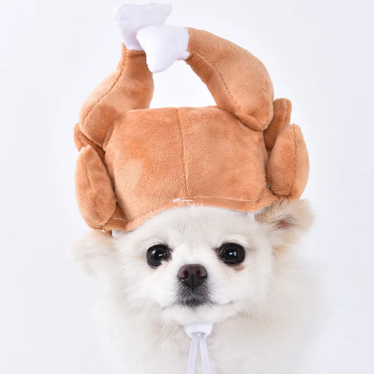 Halloween Pet Costume: Adorable Pumpkin Lantern Transformation Outfit for Dogs and Cats with Two-Legged Design and Cute Pumpkin Hat