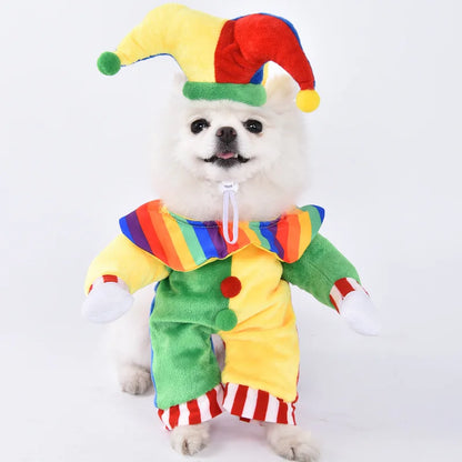 Halloween Pet Costume: Adorable Pumpkin Lantern Transformation Outfit for Dogs and Cats with Two-Legged Design and Cute Pumpkin Hat