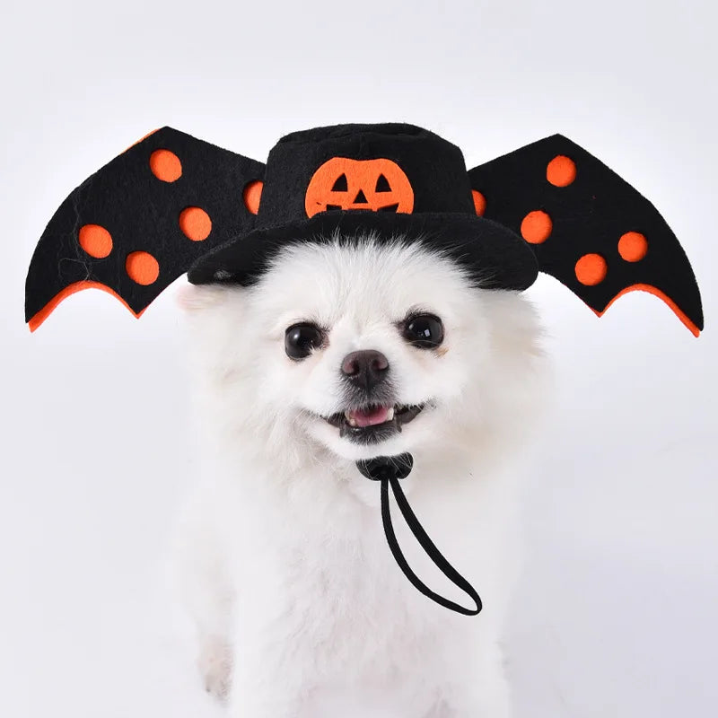 Halloween Pet Costume: Adorable Pumpkin Lantern Transformation Outfit for Dogs and Cats with Two-Legged Design and Cute Pumpkin Hat