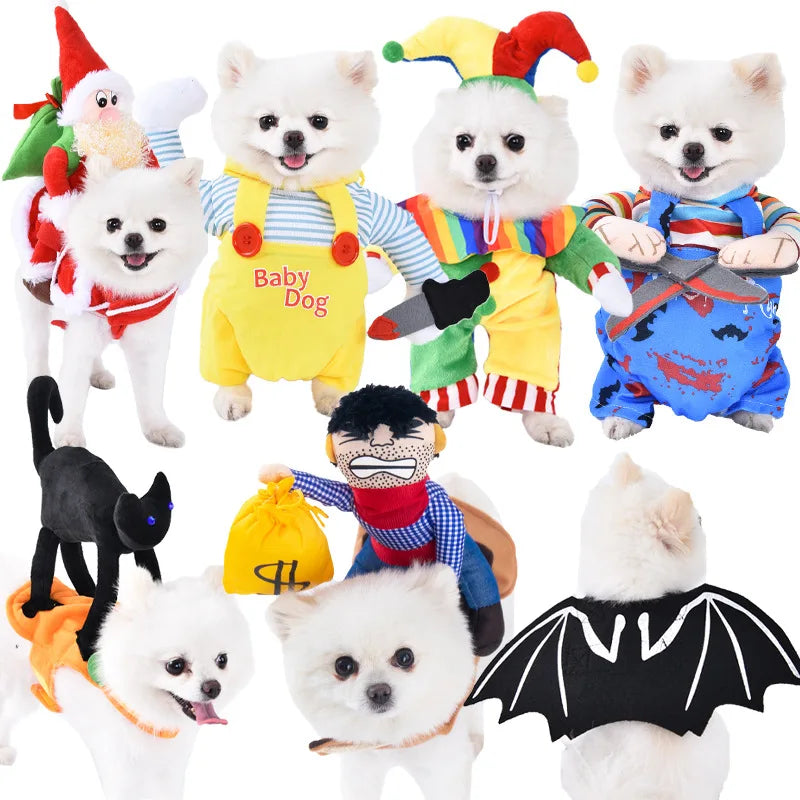 Halloween Pet Costume: Adorable Pumpkin Lantern Transformation Outfit for Dogs and Cats with Two-Legged Design and Cute Pumpkin Hat