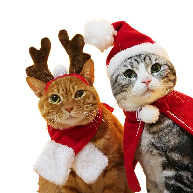 Festive Christmas and Halloween Pet Costume with Scarf for Cats and Dogs - Ideal for New Year and Winter Cosplay