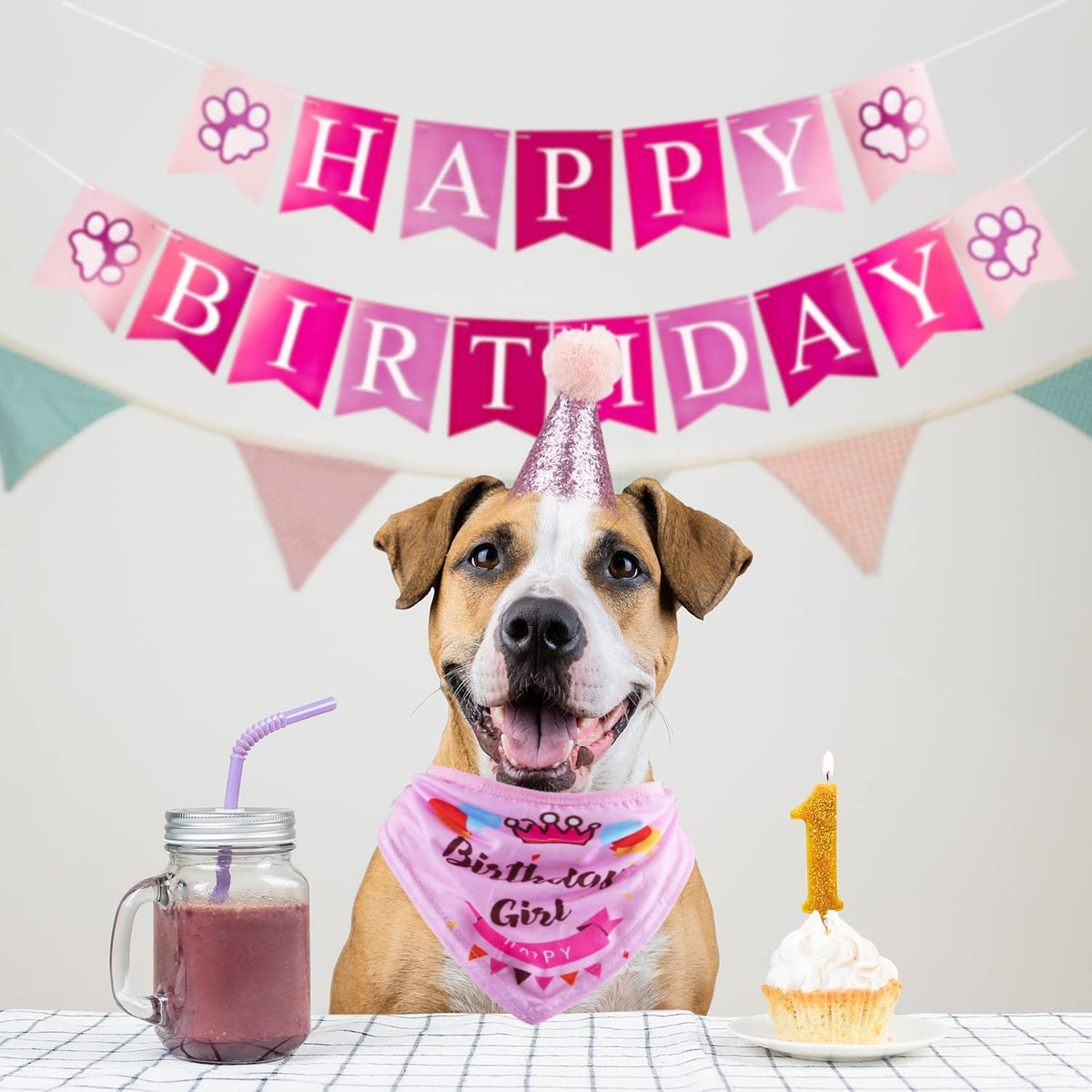 Dog Birthday Celebration Supplies Set: Bandana, Hat, Banner, and Bow Tie Scarf Decorations (Pink, for Dog Girls)