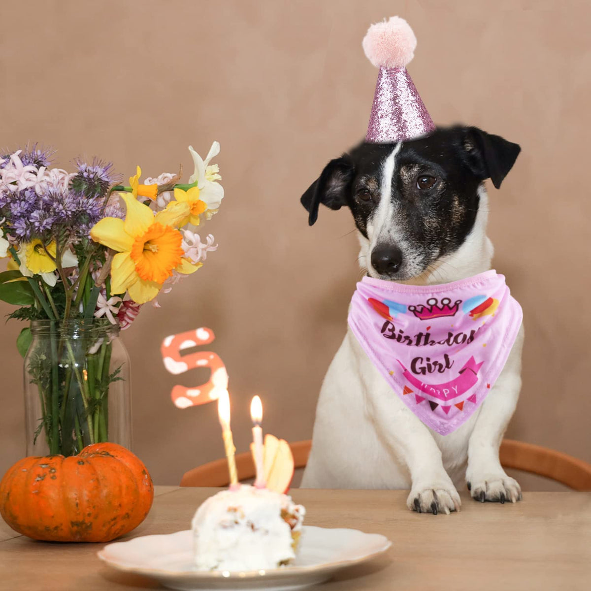 Dog Birthday Celebration Supplies Set: Bandana, Hat, Banner, and Bow Tie Scarf Decorations (Pink, for Dog Girls)