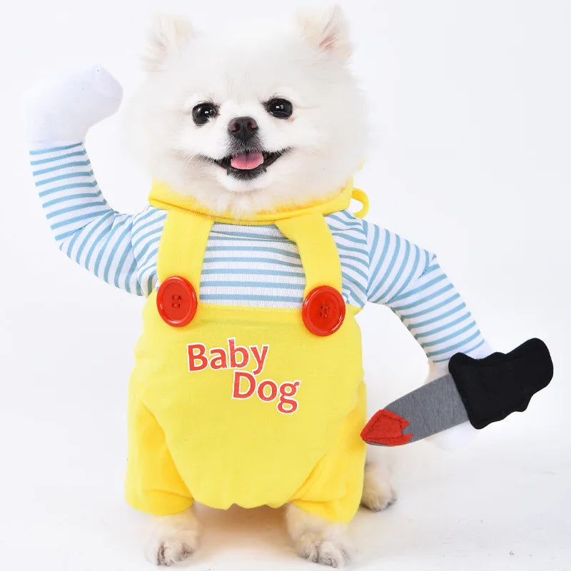 Halloween Pet Costume: Adorable Pumpkin Lantern Transformation Outfit for Dogs and Cats with Two-Legged Design and Cute Pumpkin Hat