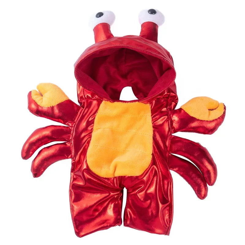 Halloween Pet Costume: Adorable Pumpkin Lantern Transformation Outfit for Dogs and Cats with Two-Legged Design and Cute Pumpkin Hat