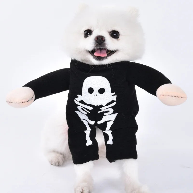 Halloween Pet Costume: Adorable Pumpkin Lantern Transformation Outfit for Dogs and Cats with Two-Legged Design and Cute Pumpkin Hat