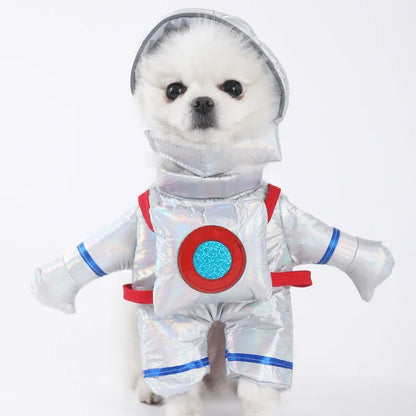 Halloween Pet Costume: Adorable Pumpkin Lantern Transformation Outfit for Dogs and Cats with Two-Legged Design and Cute Pumpkin Hat