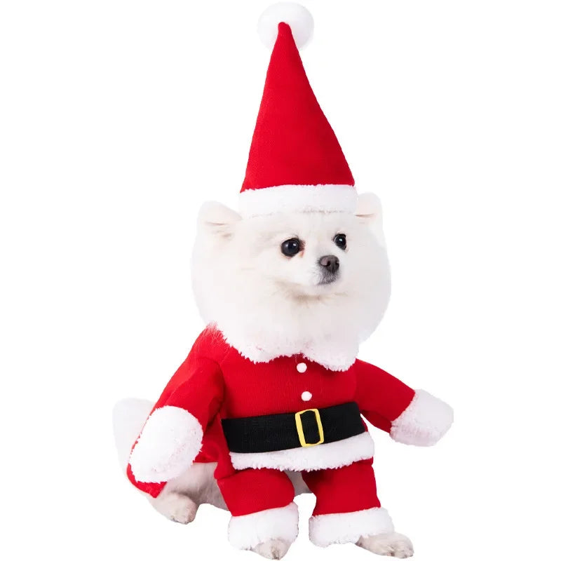 Halloween Pet Costume: Adorable Pumpkin Lantern Transformation Outfit for Dogs and Cats with Two-Legged Design and Cute Pumpkin Hat