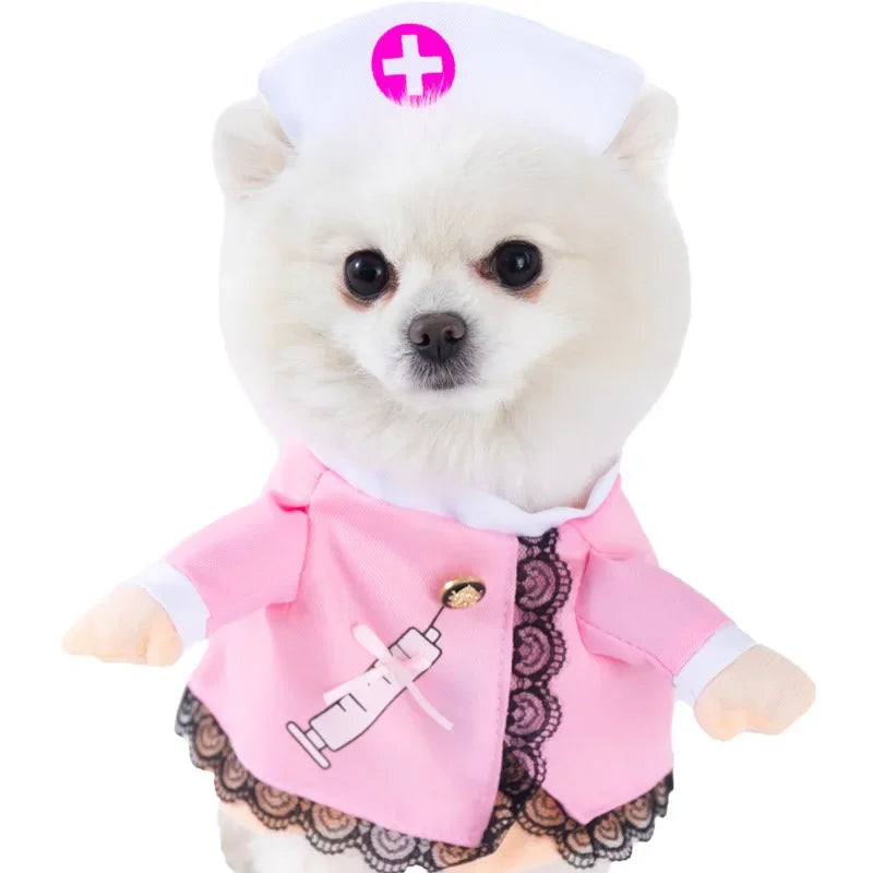 Halloween Pet Costume: Adorable Pumpkin Lantern Transformation Outfit for Dogs and Cats with Two-Legged Design and Cute Pumpkin Hat