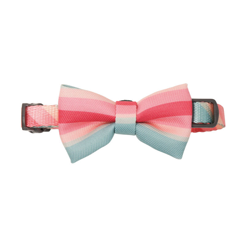 Adjustable Dog Collar with Gentleman Tie Accessories
