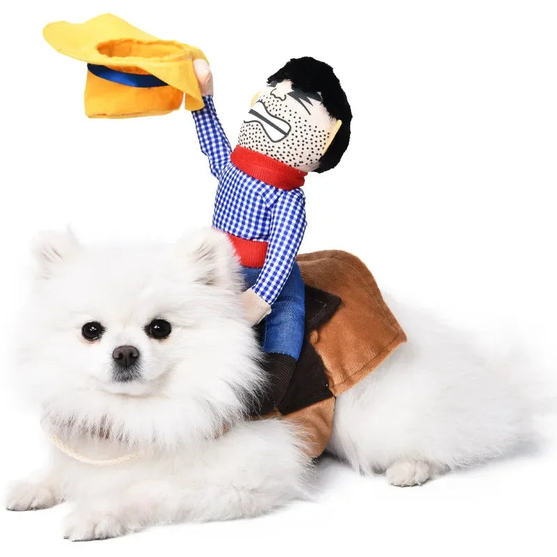 Halloween Pet Costume: Adorable Pumpkin Lantern Transformation Outfit for Dogs and Cats with Two-Legged Design and Cute Pumpkin Hat