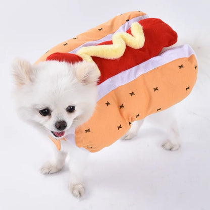 Halloween Pet Costume: Adorable Pumpkin Lantern Transformation Outfit for Dogs and Cats with Two-Legged Design and Cute Pumpkin Hat