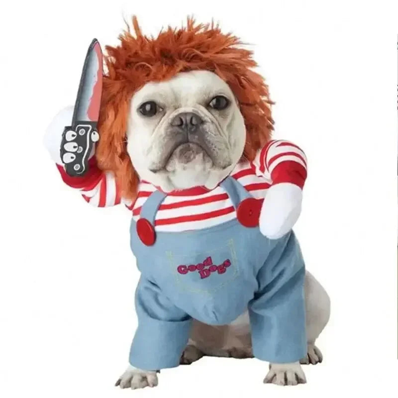 Halloween Pet Costume: Adorable Pumpkin Lantern Transformation Outfit for Dogs and Cats with Two-Legged Design and Cute Pumpkin Hat