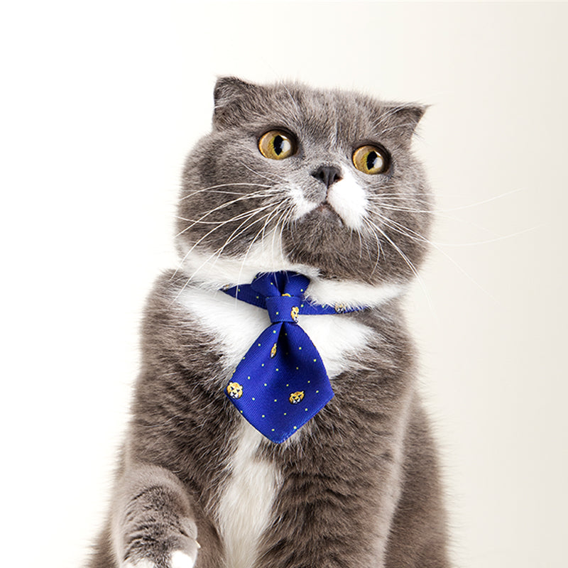Adjustable Dog Collar with Gentleman Tie Accessories