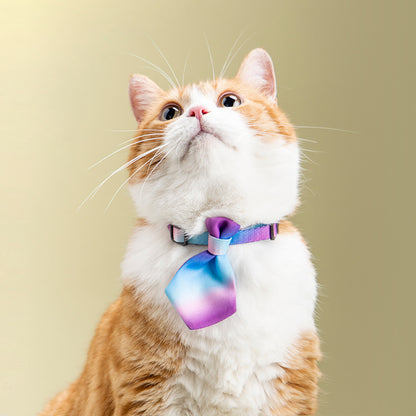 Adjustable Dog Collar with Gentleman Tie Accessories