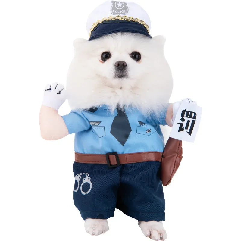 Halloween Pet Costume: Adorable Pumpkin Lantern Transformation Outfit for Dogs and Cats with Two-Legged Design and Cute Pumpkin Hat