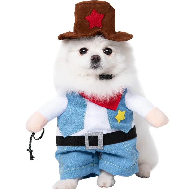 Halloween Pet Costume: Adorable Pumpkin Lantern Transformation Outfit for Dogs and Cats with Two-Legged Design and Cute Pumpkin Hat