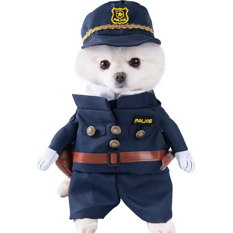 Halloween Pet Costume: Adorable Pumpkin Lantern Transformation Outfit for Dogs and Cats with Two-Legged Design and Cute Pumpkin Hat