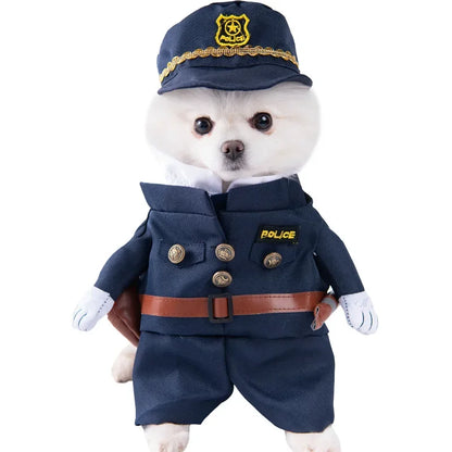 Halloween Pet Costume: Adorable Pumpkin Lantern Transformation Outfit for Dogs and Cats with Two-Legged Design and Cute Pumpkin Hat