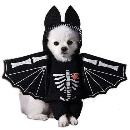 Halloween Pet Costume: Adorable Pumpkin Lantern Transformation Outfit for Dogs and Cats with Two-Legged Design and Cute Pumpkin Hat