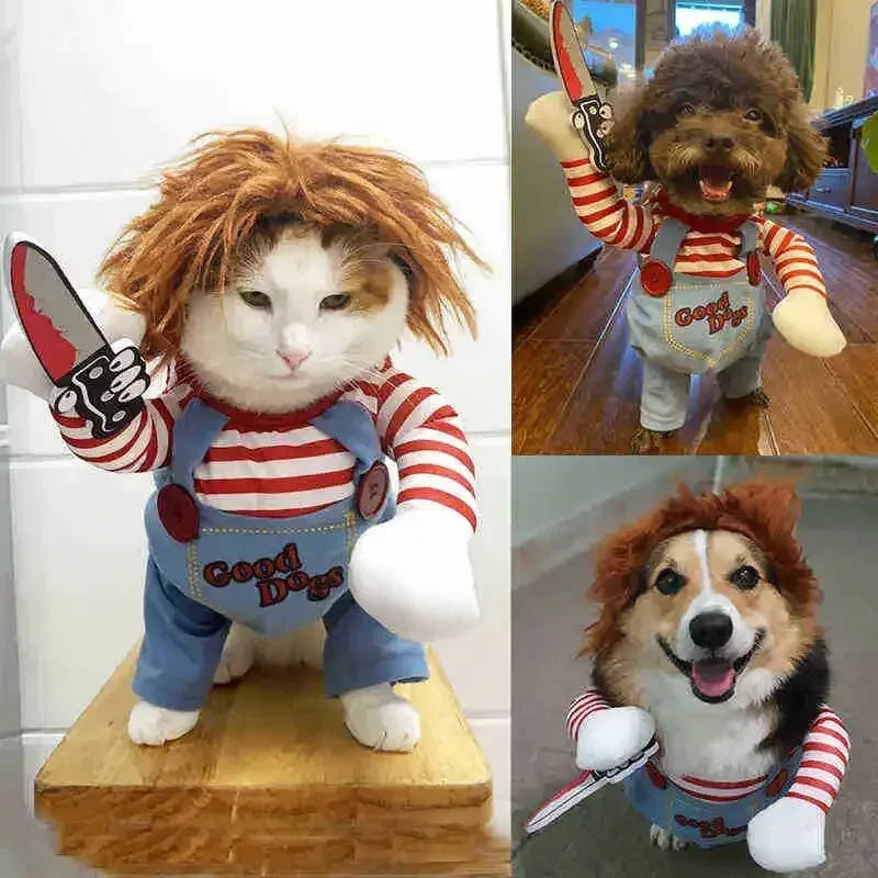 Halloween Pet Costume: Adorable Pumpkin Lantern Transformation Outfit for Dogs and Cats with Two-Legged Design and Cute Pumpkin Hat