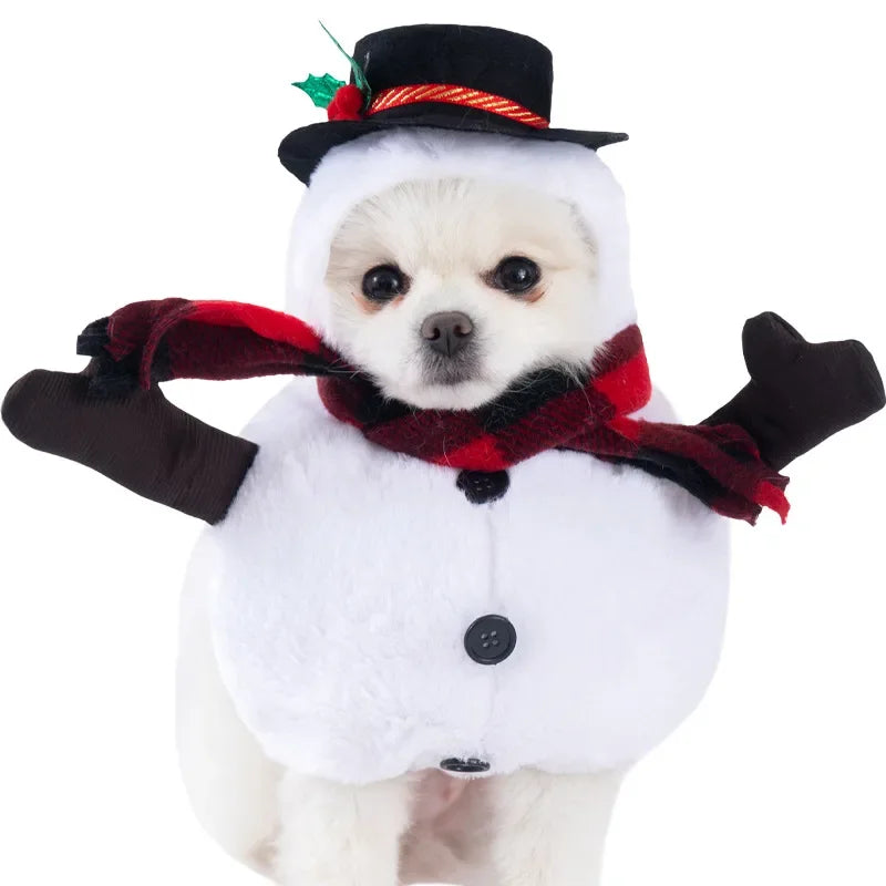 Halloween Pet Costume: Adorable Pumpkin Lantern Transformation Outfit for Dogs and Cats with Two-Legged Design and Cute Pumpkin Hat