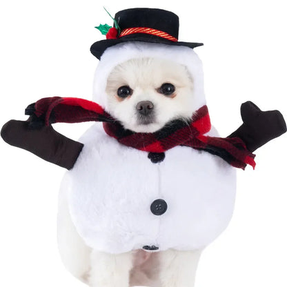 Halloween Pet Costume: Adorable Pumpkin Lantern Transformation Outfit for Dogs and Cats with Two-Legged Design and Cute Pumpkin Hat